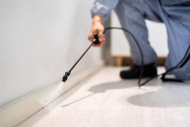 Licensed Pest Control service in Maine, ME - Show Me Pest Control