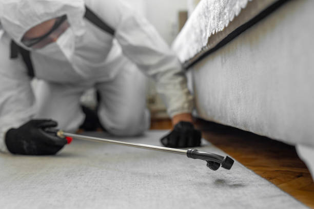 Professional Pest Control technician working in Maine, ME