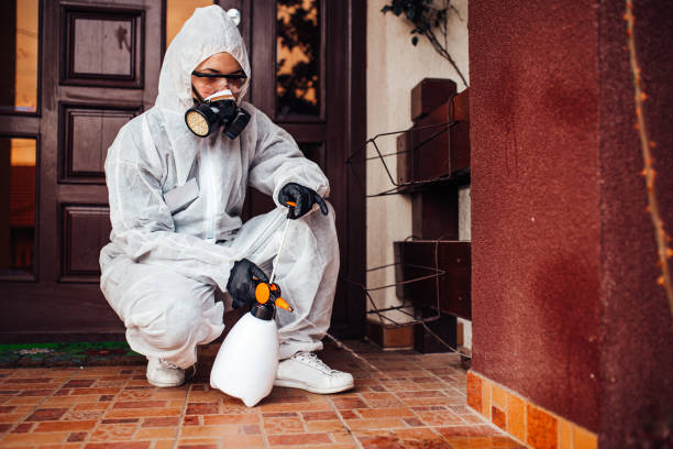 Reliable Pest Control contractor in Maine, ME by Show Me Pest Control